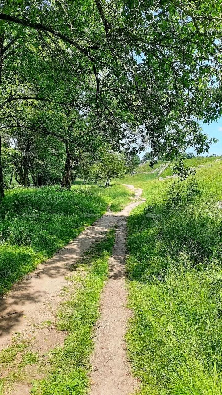 A very beautiful picture, and there is no better picture than it. There is no better picture of green herbs and colorful, red and white roses than it. Glory be to God, the natural and picturesque view, and there is no more wonderful picture than it.