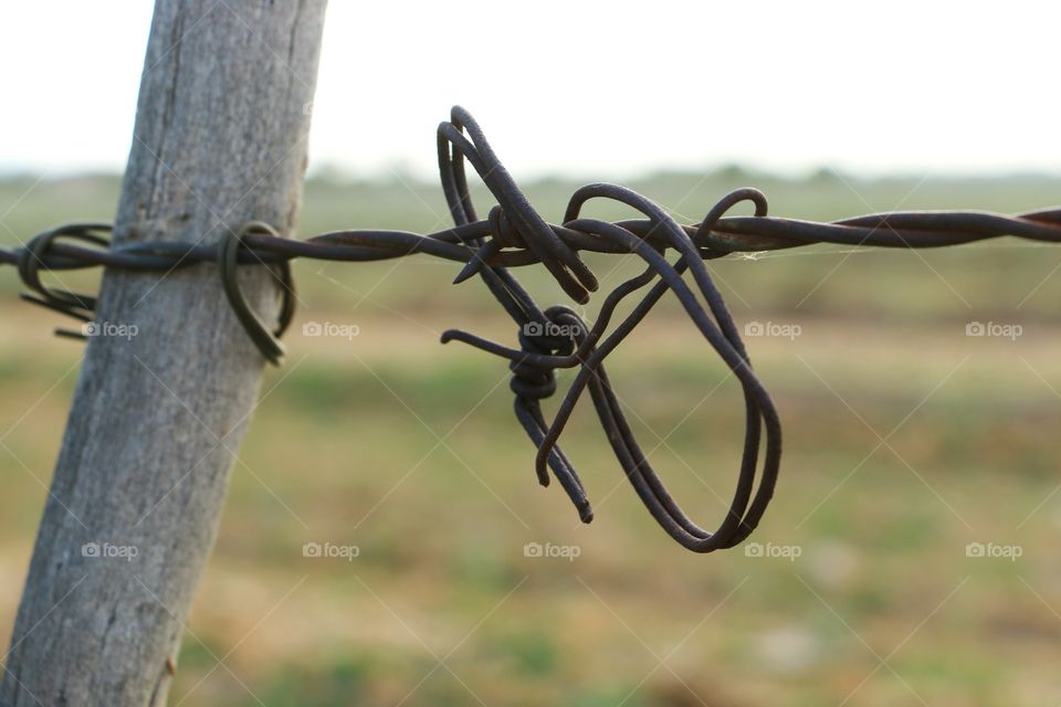 Barbed wire