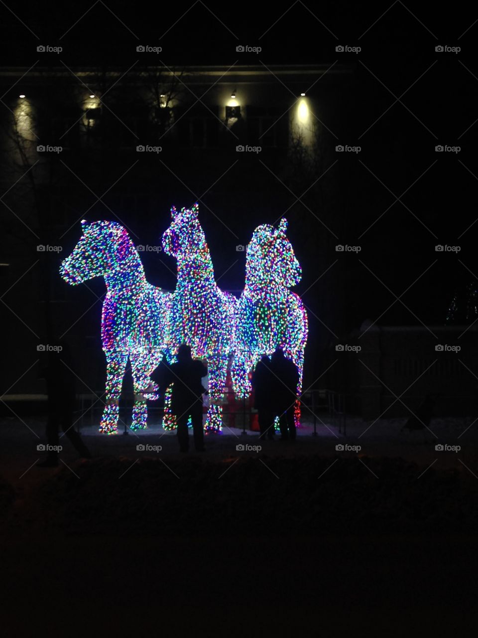 Silhouetted people standing in front of illuminated animal