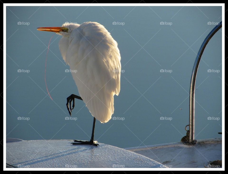 I wish I could get this fishing line out of my mouth