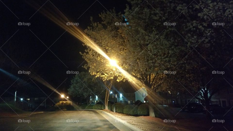 Road, Street, No Person, Light, Car