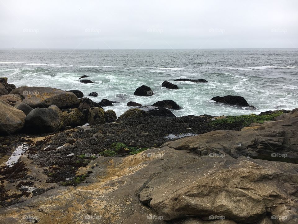 Morro Rock 