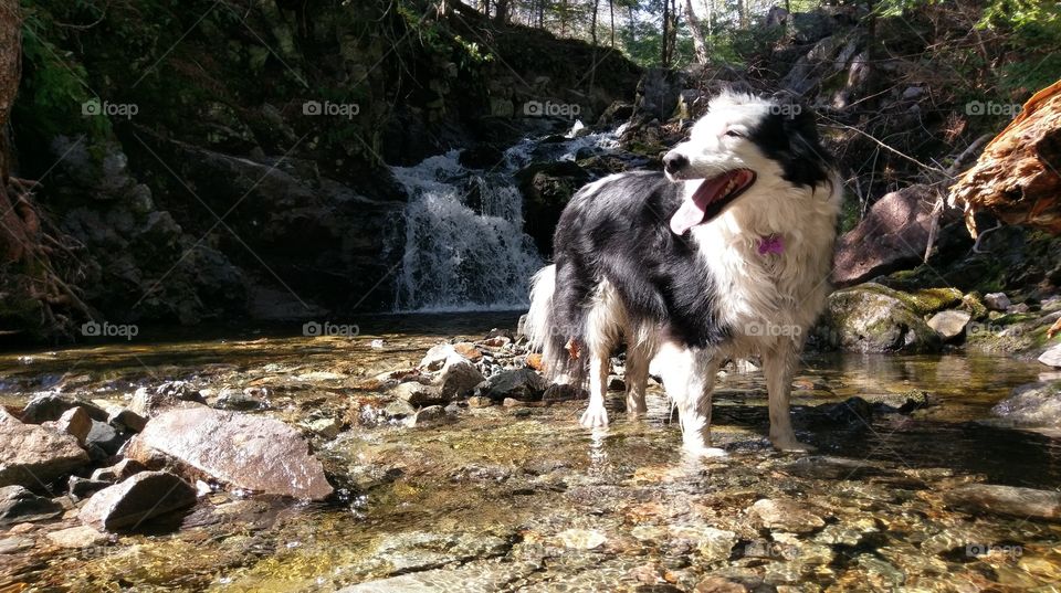 Dakota and waterfall