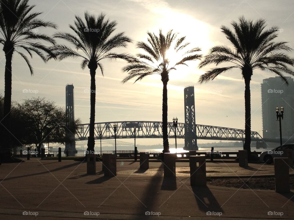 Jacksonville's Main Street Bridge