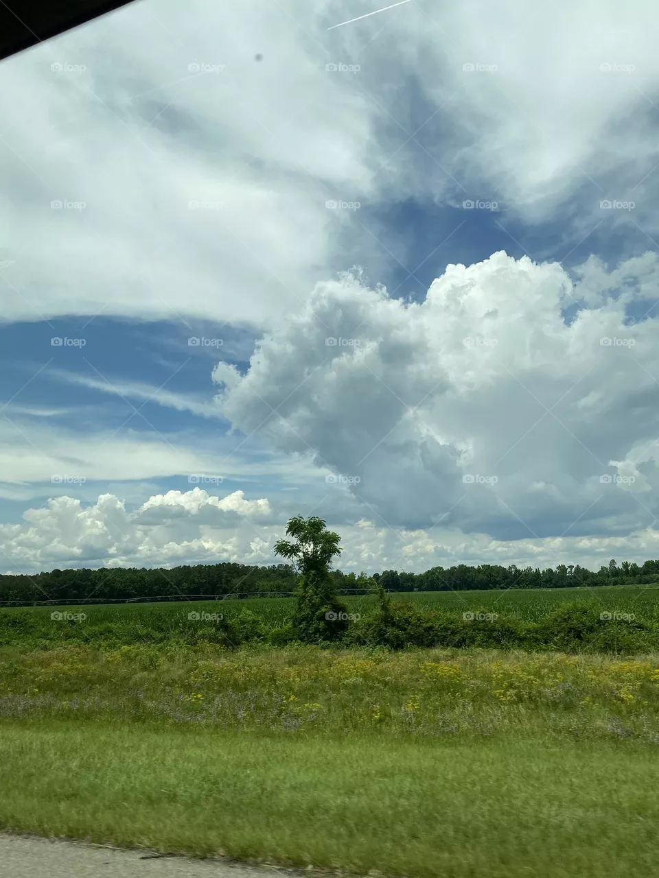 Beautiful sky 