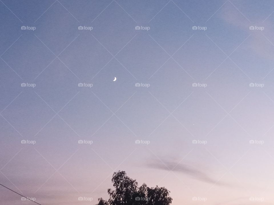 moon 🌙