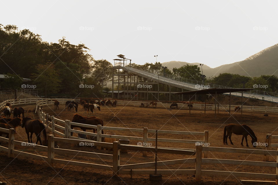 overview of a ranch in the evening