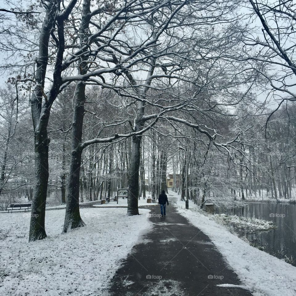 First snow in the city 