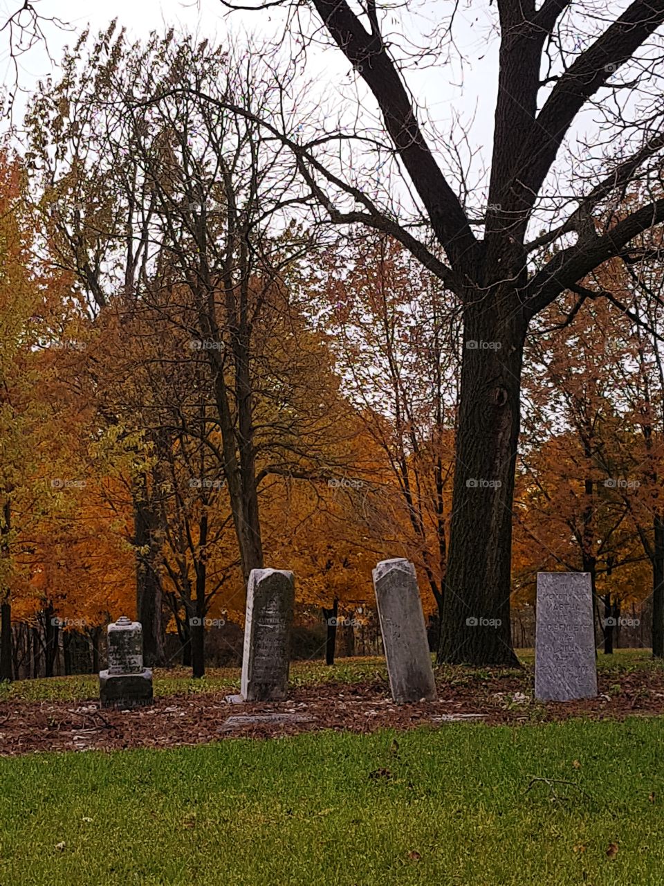 4 headstones stand in front of a scenic autumn backdrop. Petrolia's earliest stones.