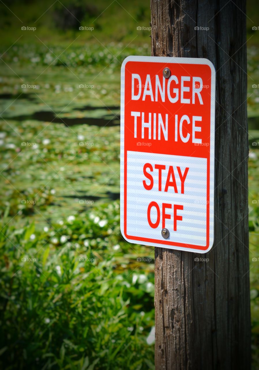 Just a reminder to stay off the ice this Summer!