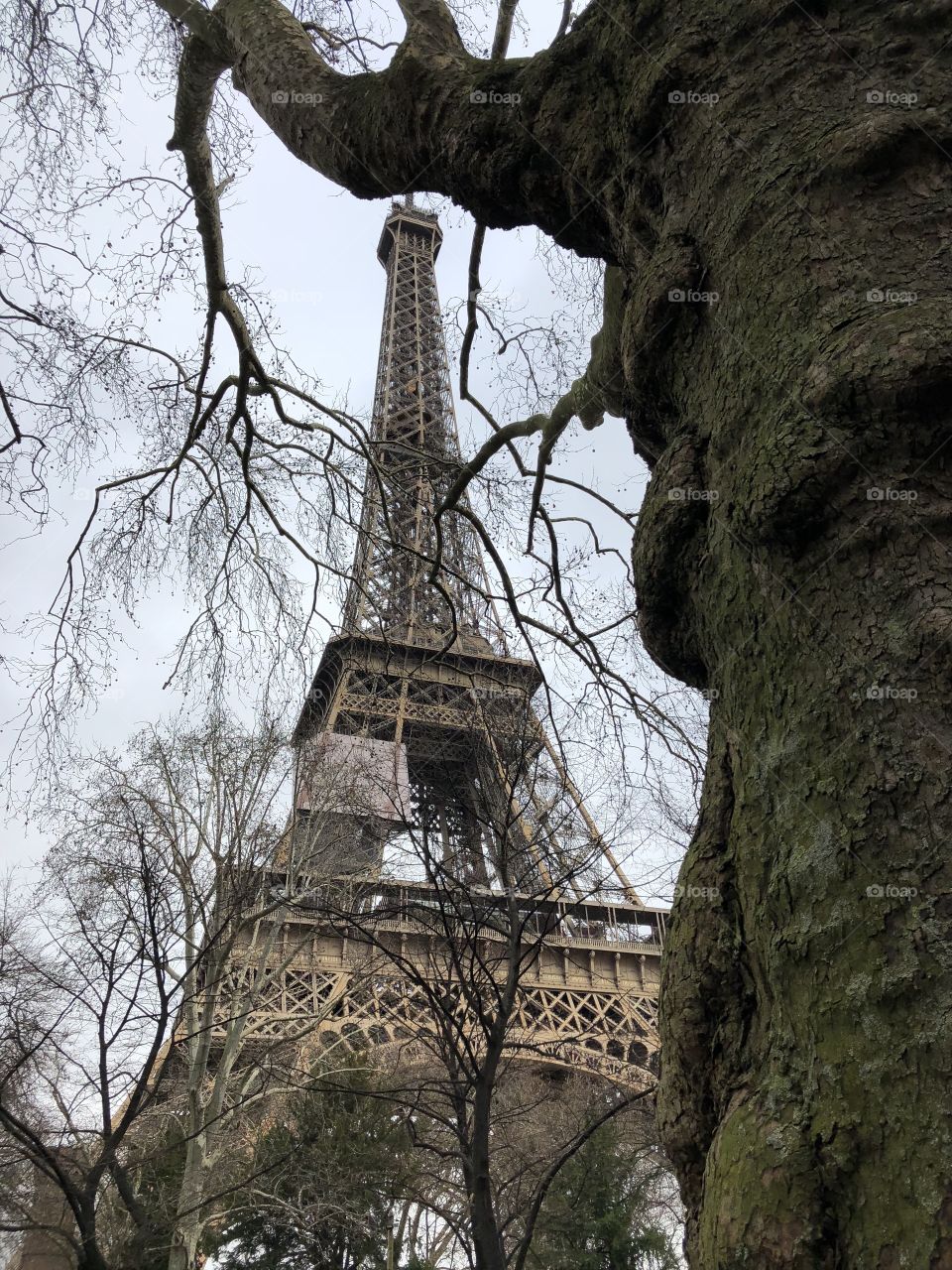 Tower Eiffel Tower Paris