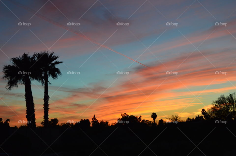 Arizona Sunset