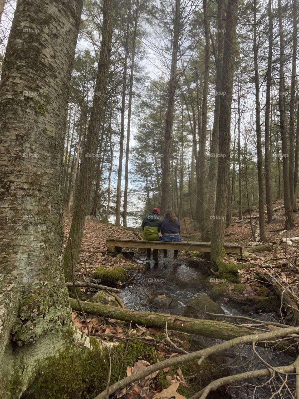 Couple together looking out at the woods on a small bridge over a stream