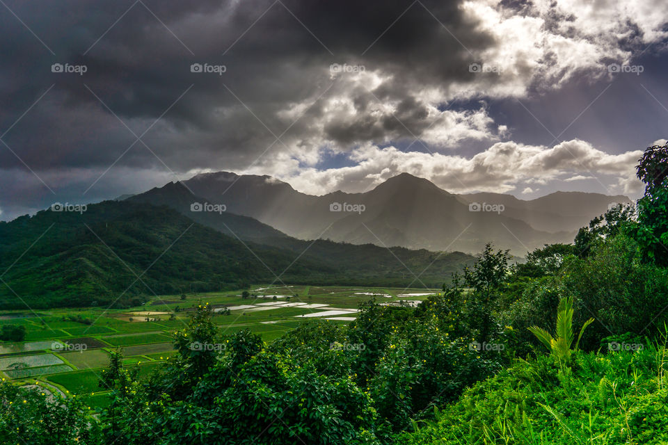 Kauai Hills