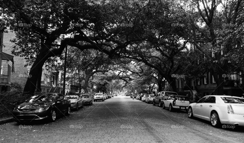 Streets of Savannah