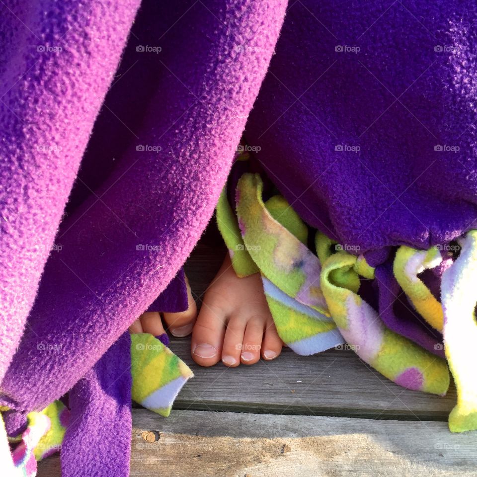 Flower, Violet, Color, Nature, No Person