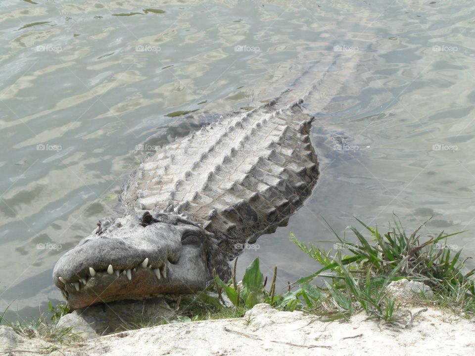 Florida Keys 