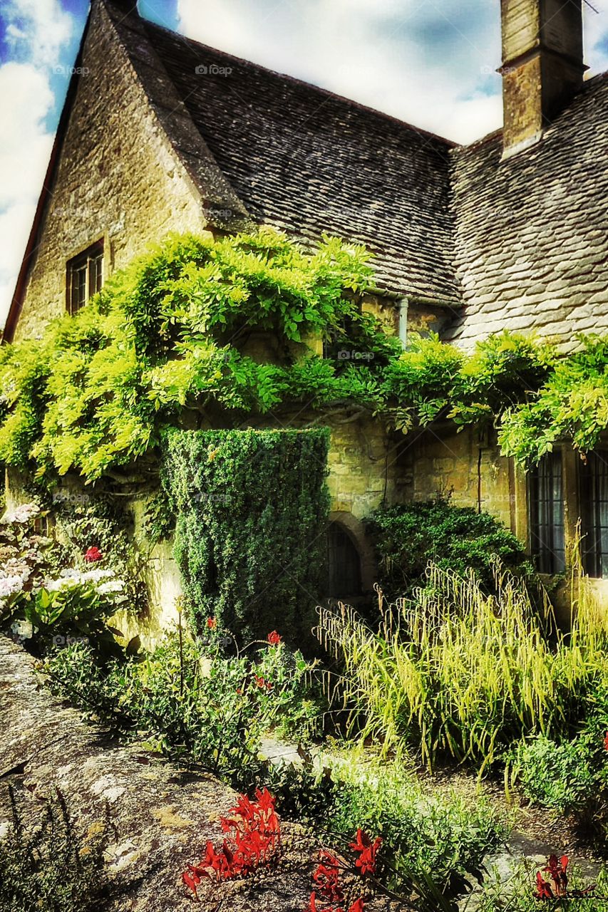 Cottage. Cotswolds 