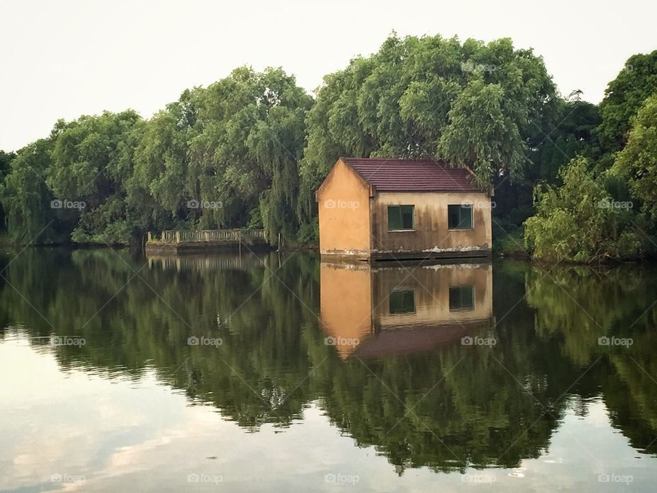 Water, No Person, Lake, River, Wood