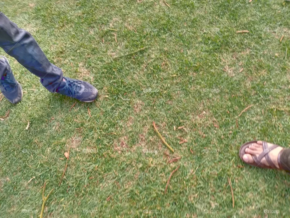 Grass