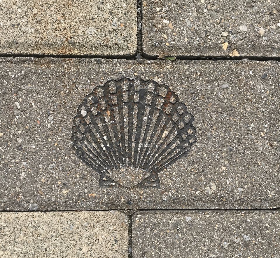 Seashell Texture River Walkway