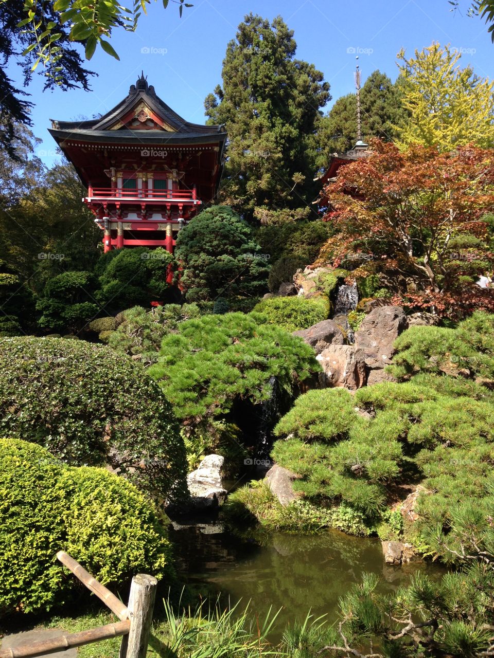 Japanese Garden Views 