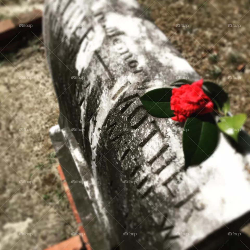 Old grave site with the word mother at the top