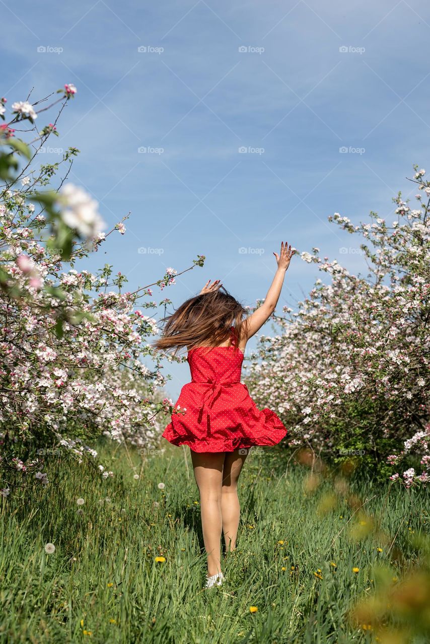 beautiful woman in spring blossom trees