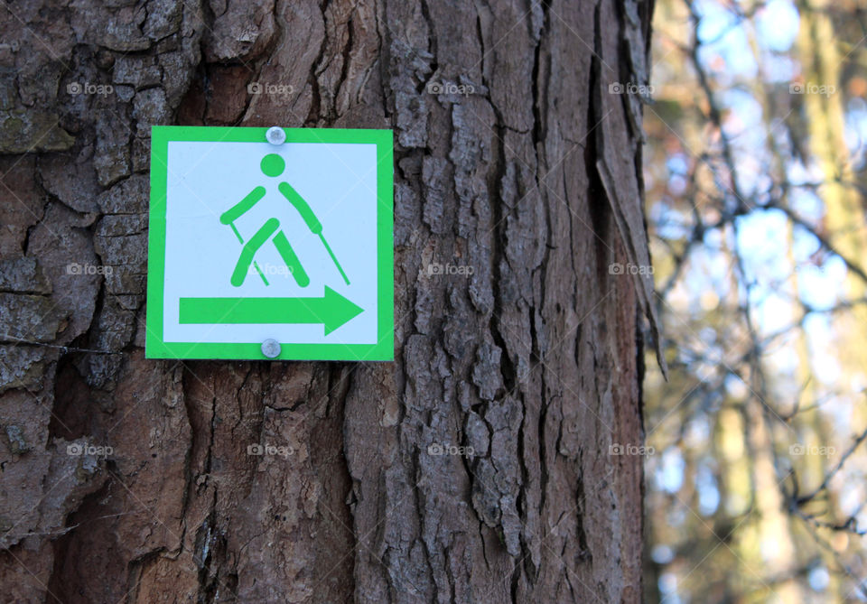 sign for nordic walking on a tree