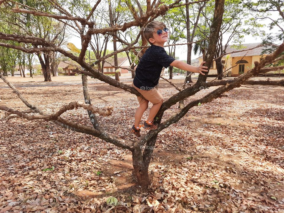 child in a tree that has dropped all the leaves because of autumn