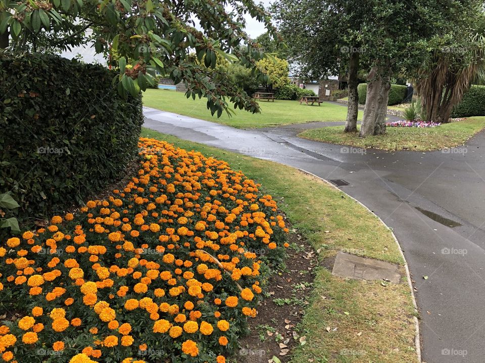 Beautiful flower border on the side delightful and such s pleasure to enjoy and marvel over.