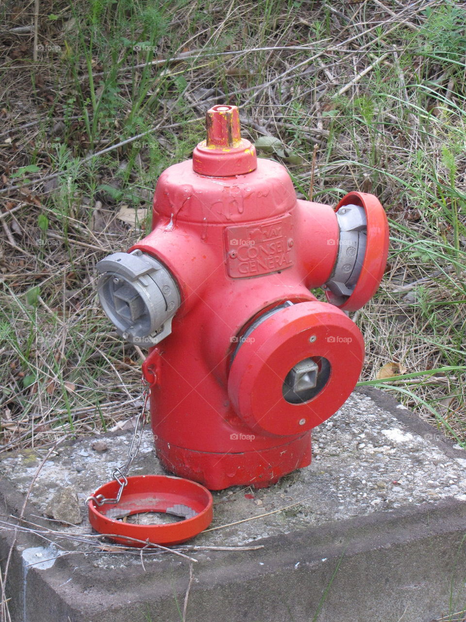 Fire hydrant 