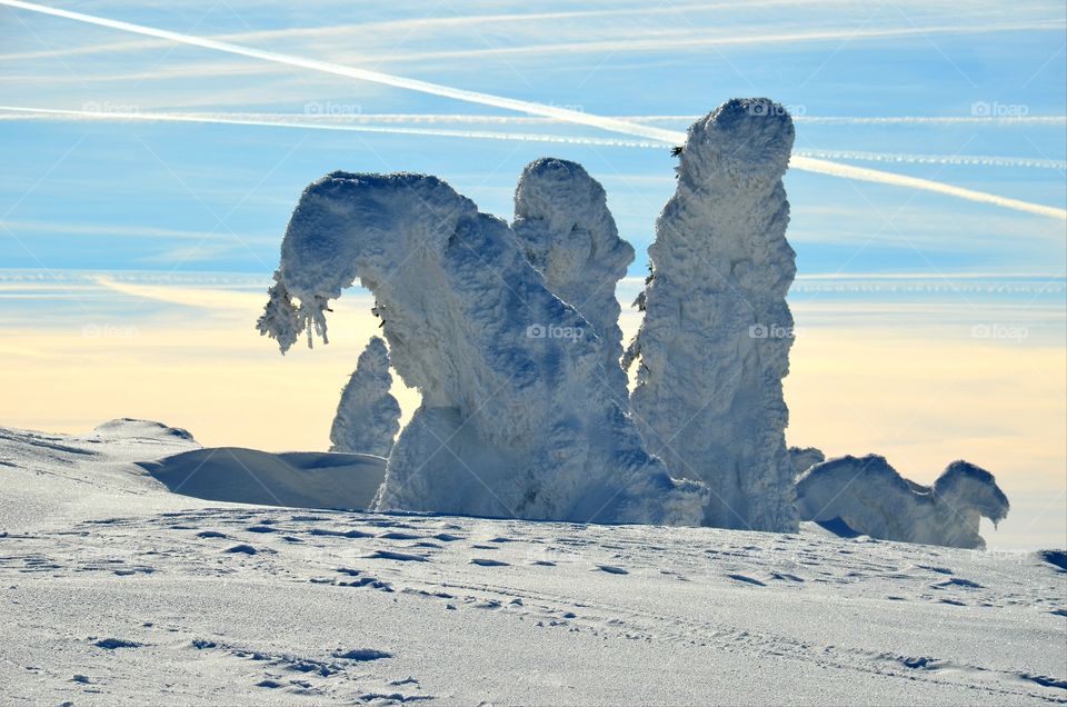 Winter in the mountains