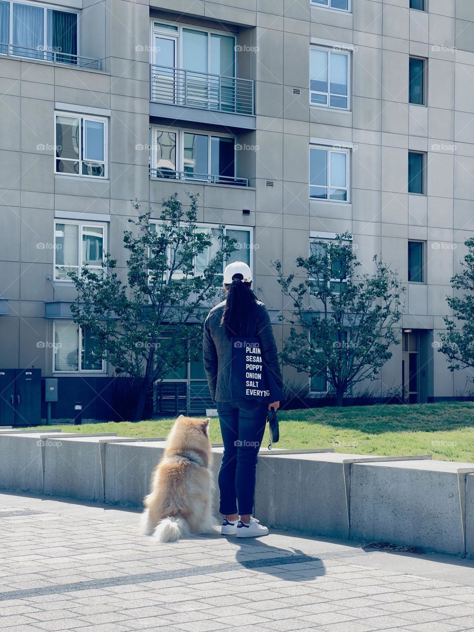 A dog always is a good friend in your life.