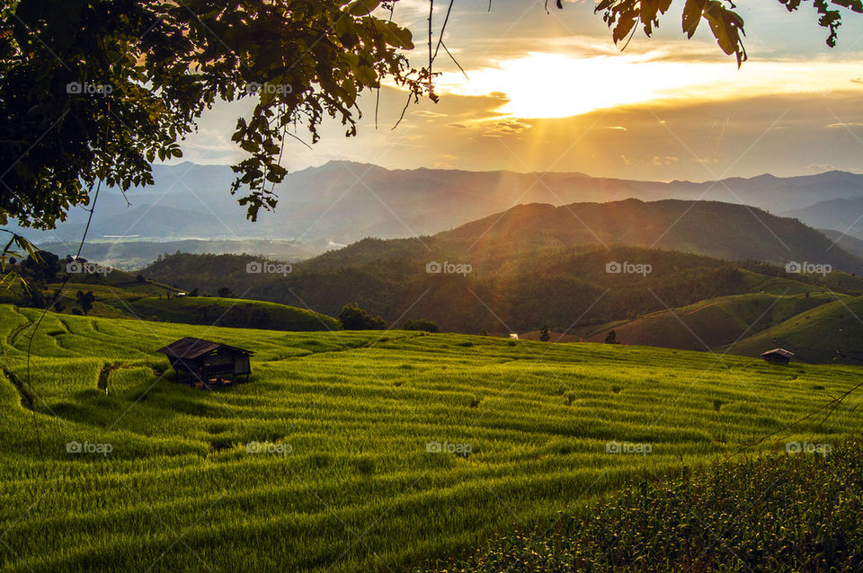 Sunset over terraced rice fields