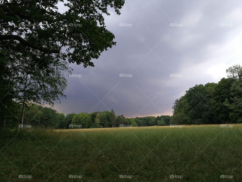 Thunderstorm over the meadow in "Großer Garten", Dresden