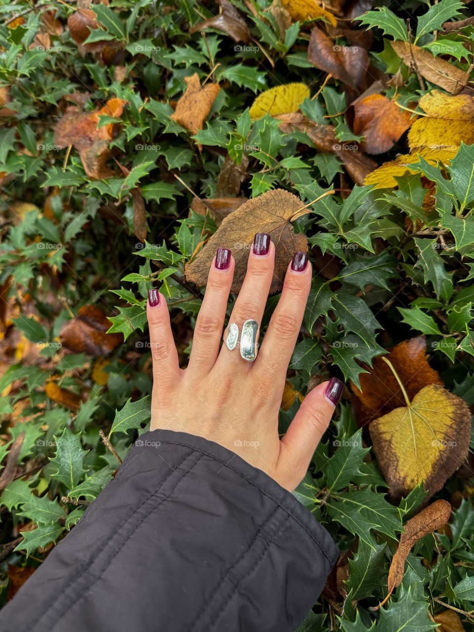 Woman’s hand with silver ring and burgundy nails, autumn yellow and green leaves on the background 