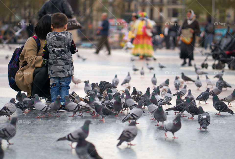 Pigeons in the City