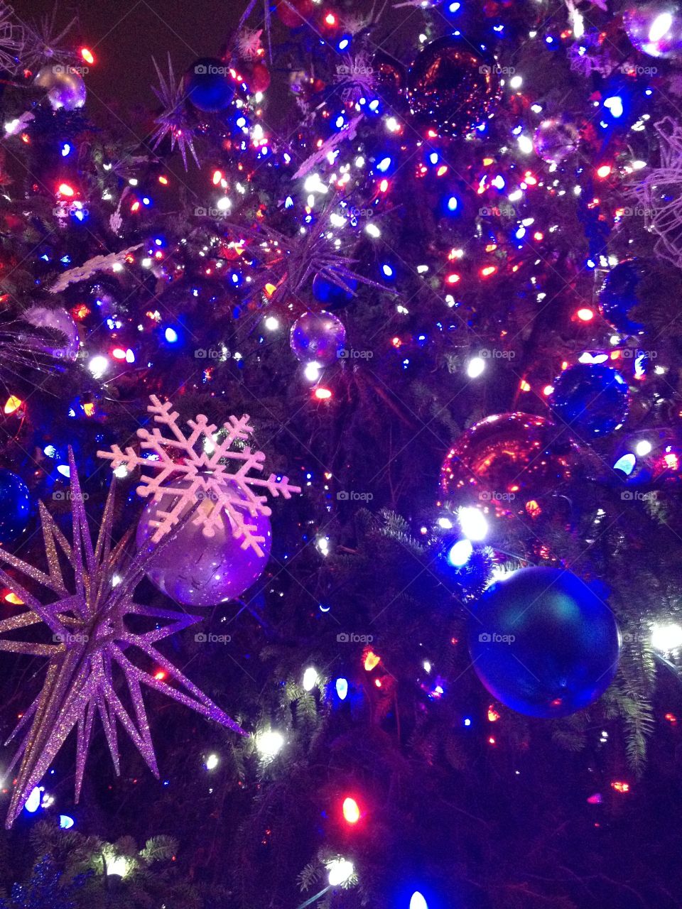 Sparkle of Celebration at Christmas