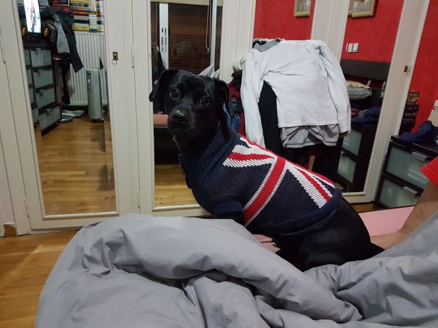 time for sleep