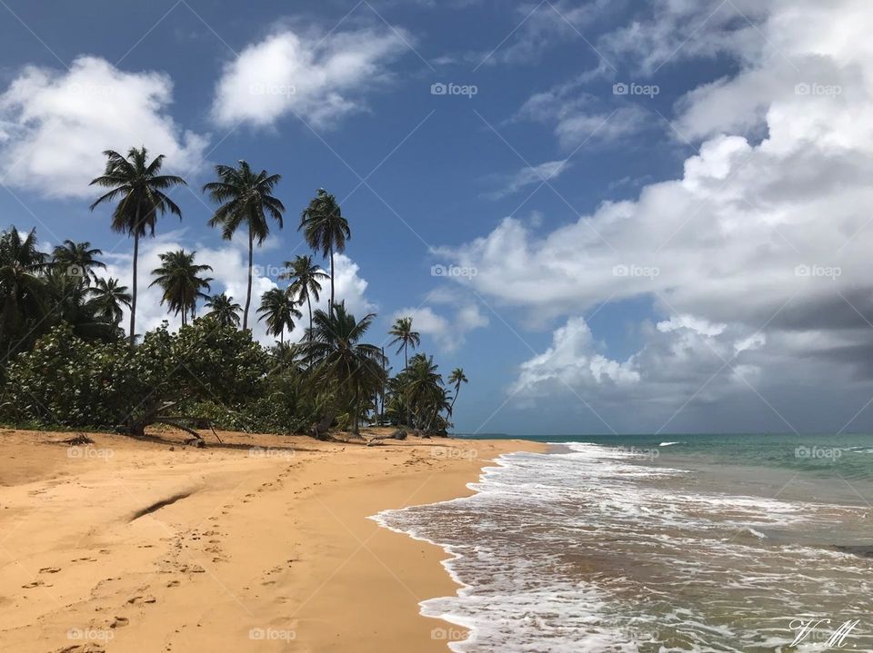 Beach hike