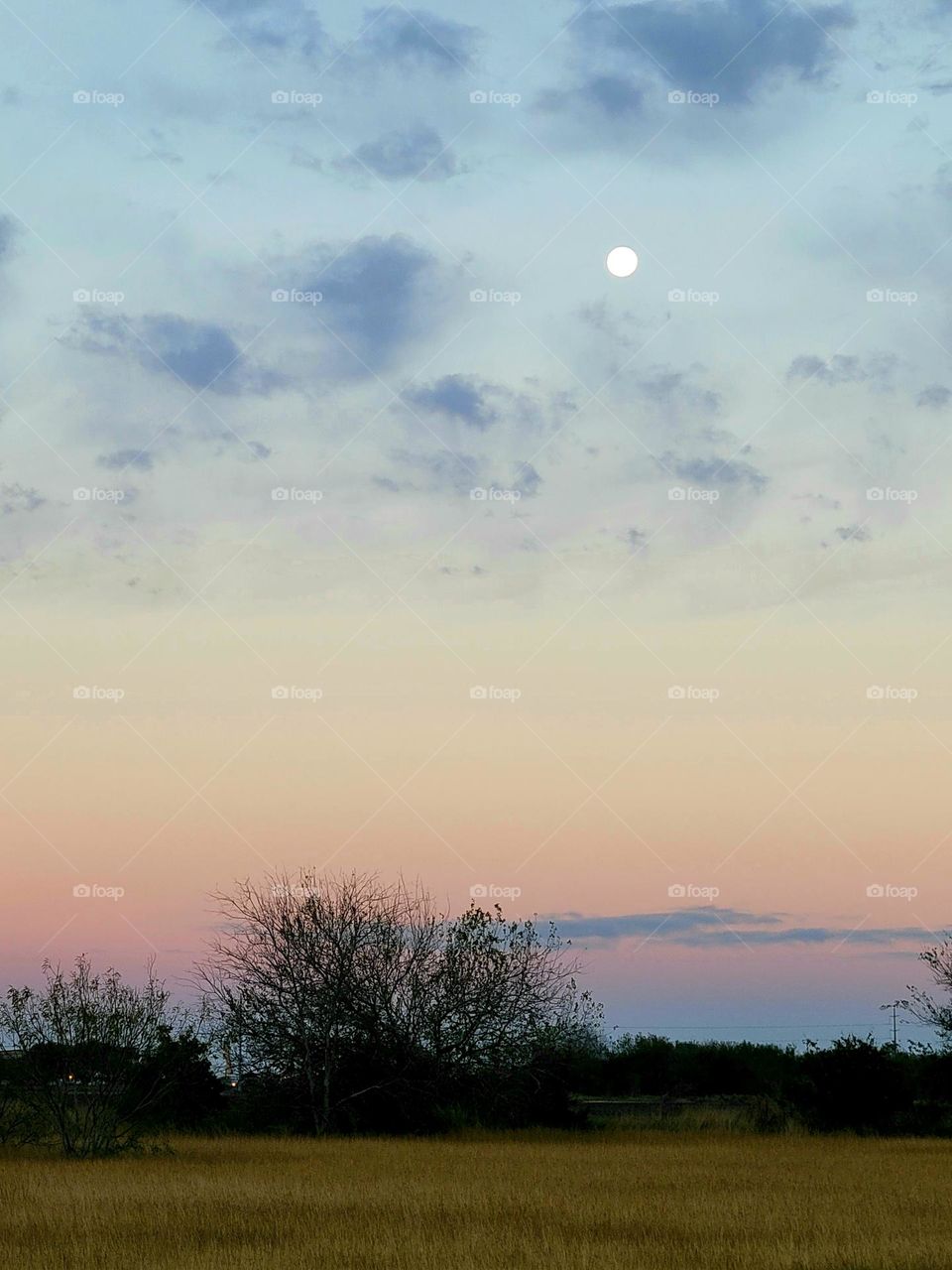 Early morning moon, setting.
