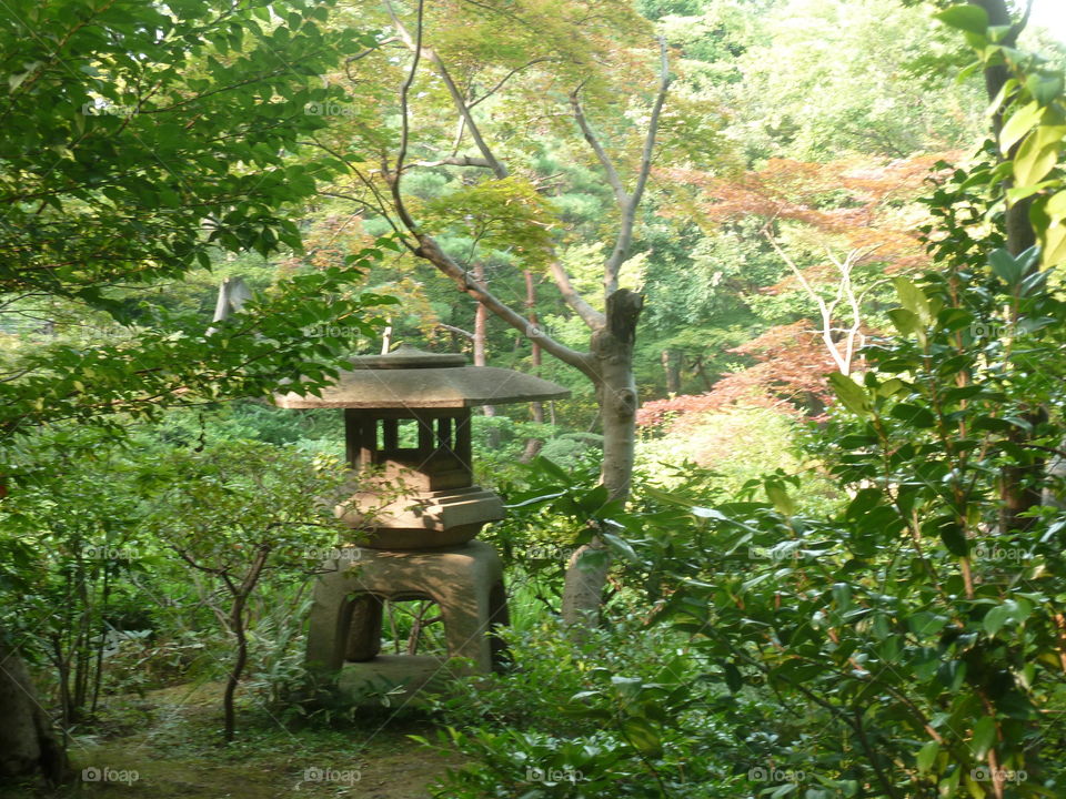 garden in Tokyo