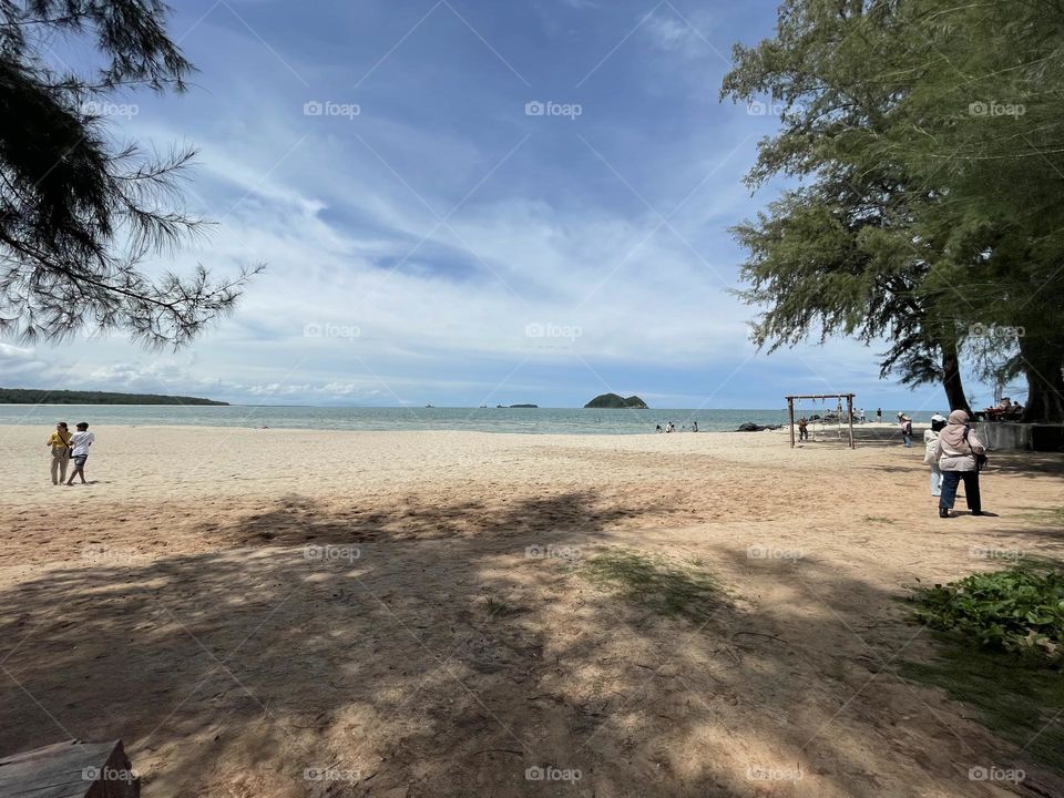 The shadow of the tree on the sand on a hot day by the beach 