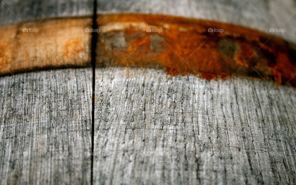 macro close wood gray by majamaki
