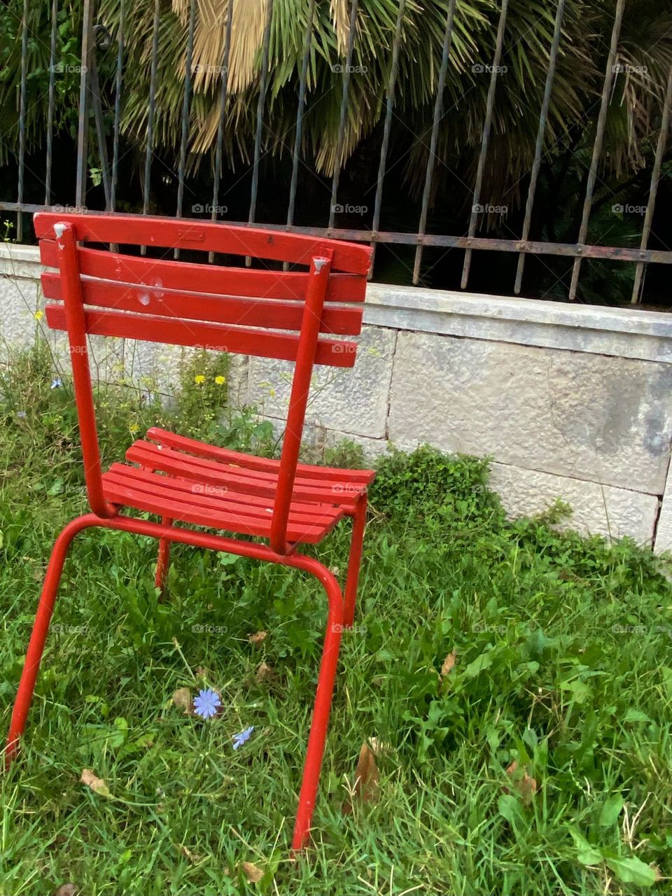 A red chair on green grass facing a fence.