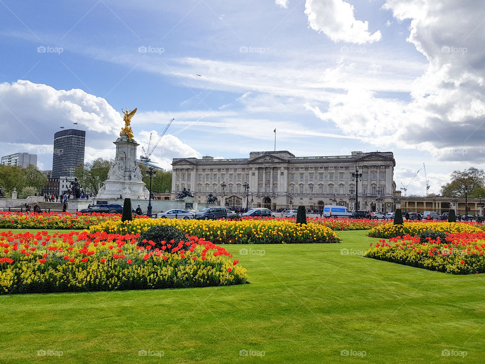Green grass and Yellow and orange spring flowers with Buckingham Palace at the background. Sunny and blueskg with clouds.