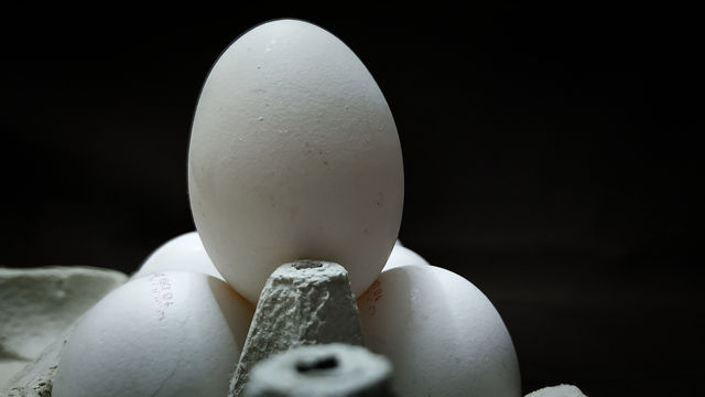 eggs in a box