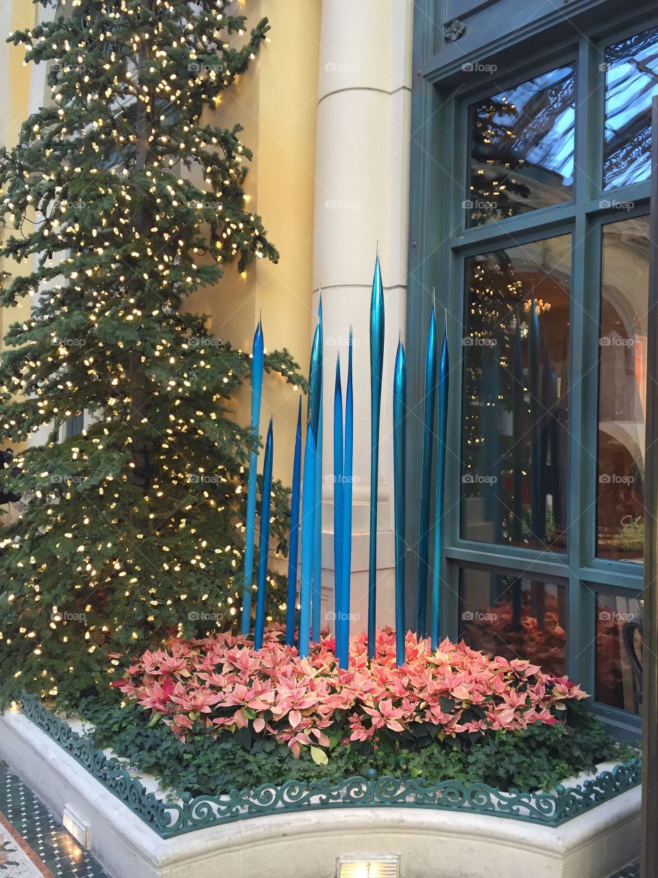 Skinny blue candles, poinsettia  & Christmas tree in window.