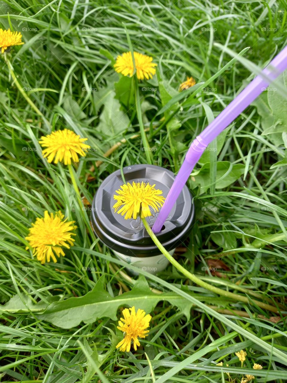 Find me in the grass! I am your tasty coffee!